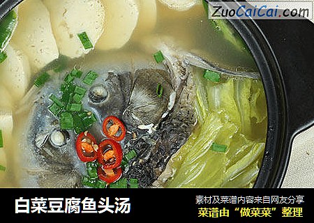 白菜豆腐魚頭湯封面圖