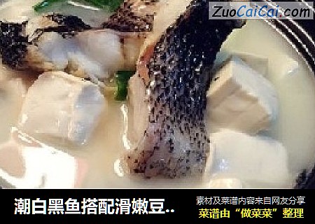 潮白黑鱼搭配滑嫩豆腐 鲜美的馋小黑豆腐鱼汤