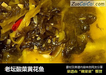 老壇酸菜黃花魚封面圖
