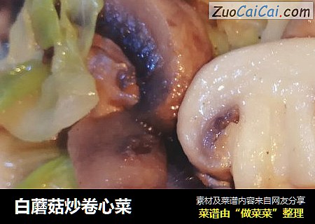 白蘑菇炒卷心菜
