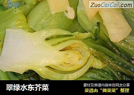 翠綠水東芥菜封面圖