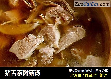 豬舌茶樹菇湯封面圖