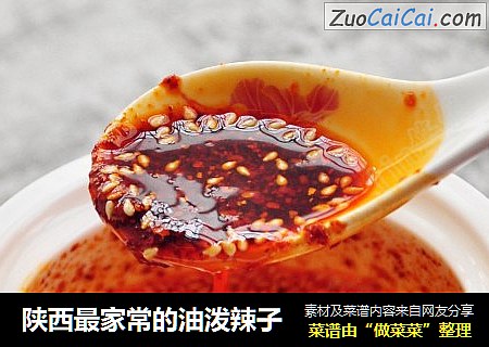 陝西最家常的油潑辣子封面圖