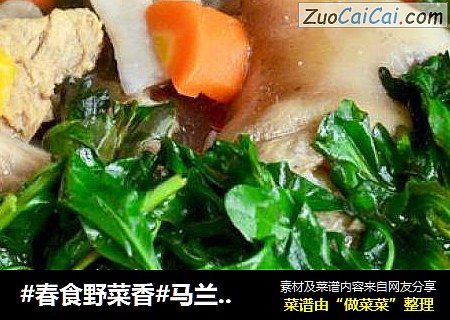 #春食野菜香#馬蘭頭豬骨湯封面圖