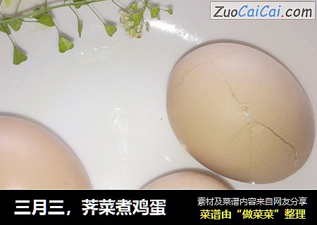 三月三，荠菜煮雞蛋封面圖