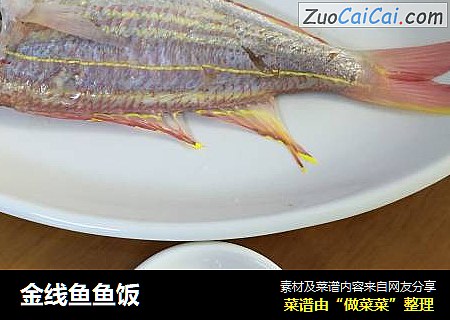 金線魚魚飯封面圖