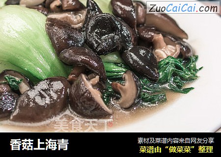 香菇上海青封面圖