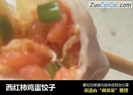 西紅柿雞蛋餃子封面圖