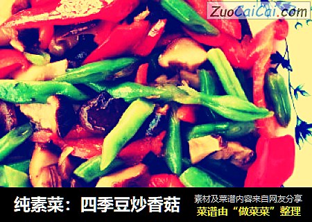 純素菜：四季豆炒香菇封面圖