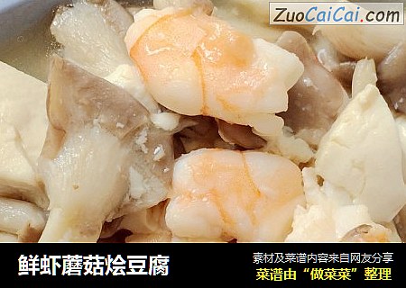 鮮蝦蘑菇燴豆腐封面圖