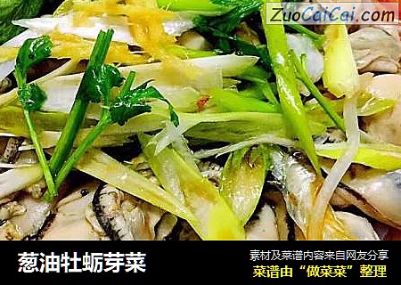 蔥油牡蛎芽菜封面圖