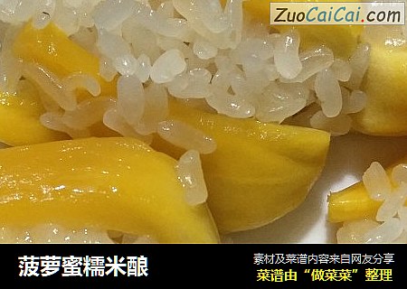 菠蘿蜜糯米釀封面圖