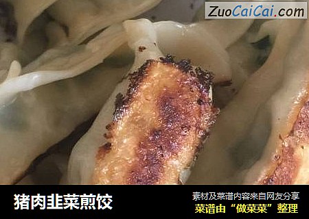 豬肉韭菜煎餃封面圖