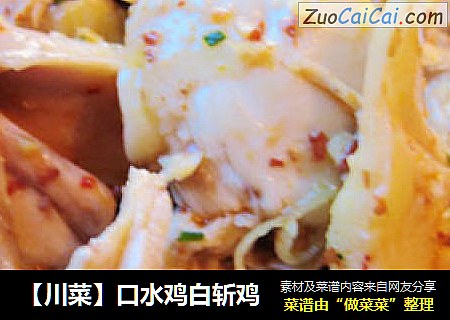 【川菜】口水雞白斬雞封面圖