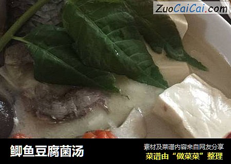 鲫魚豆腐菌湯封面圖