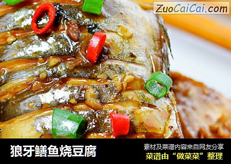 狼牙鳝魚燒豆腐封面圖