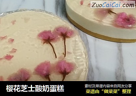 櫻花芝士酸奶蛋糕封面圖