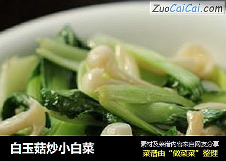 白玉菇炒小白菜封面圖