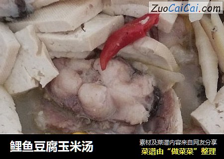 鲤鱼豆腐玉米汤