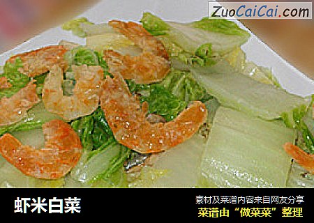 蝦米白菜封面圖