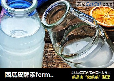 西瓜皮酵素ferment nutrition封面圖