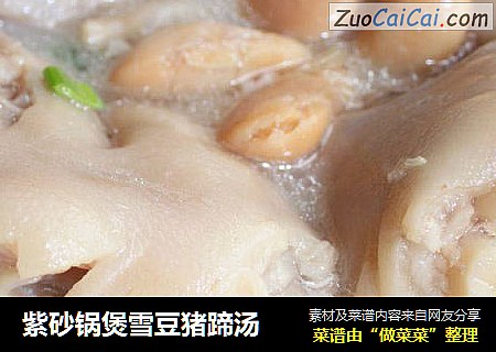 紫砂锅煲雪豆猪蹄汤