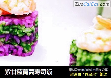 紫甘藍茼蒿壽司飯封面圖