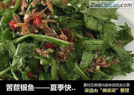 苦苣銀魚——夏季快手菜封面圖