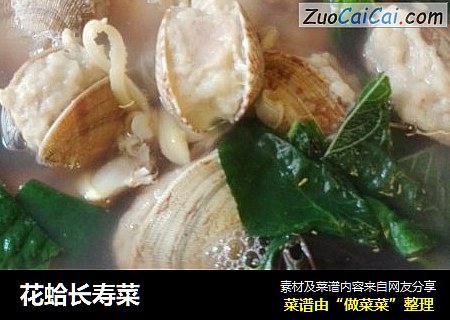 花蛤长寿菜