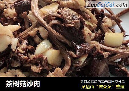 茶樹菇炒肉封面圖