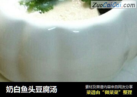 奶白魚頭豆腐湯封面圖