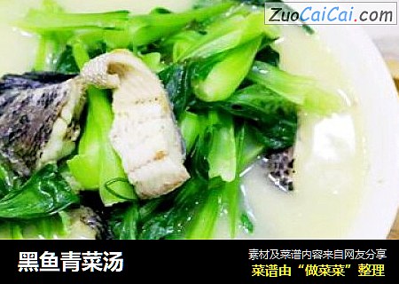 黑魚青菜湯封面圖