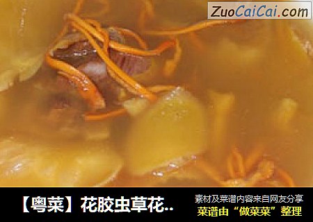 【粤菜】花胶虫草花鱼翅汤