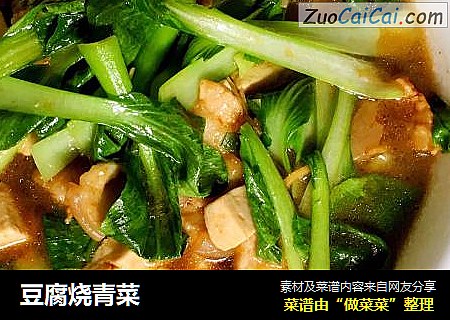 豆腐燒青菜封面圖