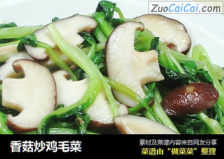 香菇炒鸡毛菜