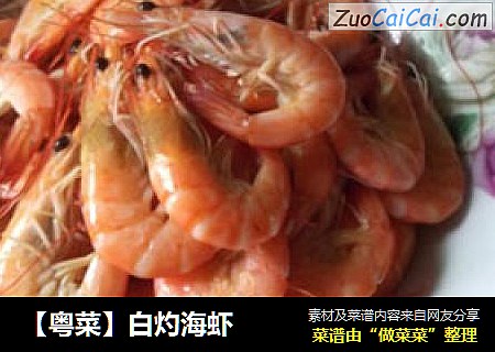 【粵菜】白灼海蝦封面圖