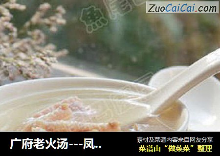 广府老火汤---凤爪海螺瘦肉汤