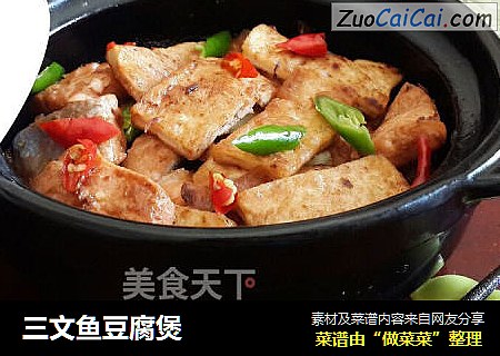 三文鱼豆腐煲
