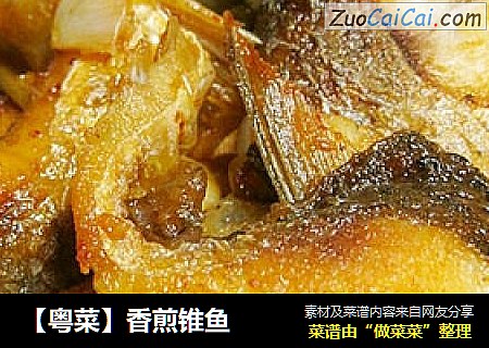 【粵菜】香煎錐魚封面圖