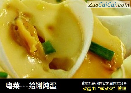 粵菜---蛤蜊炖蛋封面圖