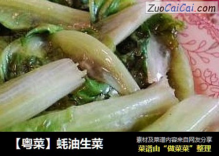 【粤菜】蚝油生菜