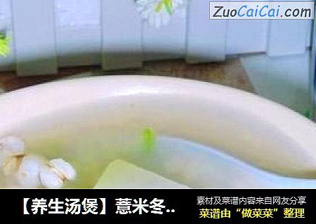 【養生湯煲】薏米冬瓜湯封面圖