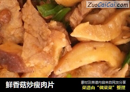 鲜香菇炒瘦肉片