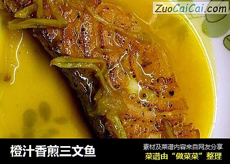 橙汁香煎三文魚封面圖
