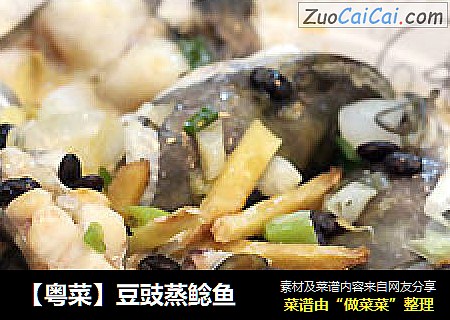 【粵菜】豆豉蒸鲶魚封面圖