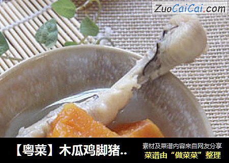 【粵菜】木瓜雞腳豬骨湯封面圖