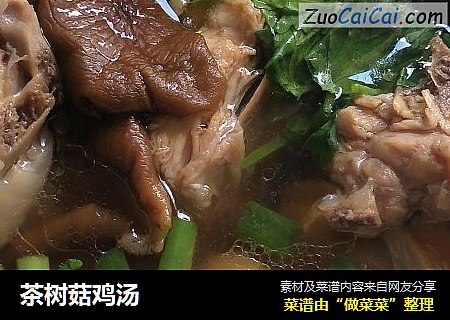 茶樹菇雞湯封面圖