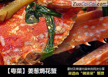 【粵菜】姜蔥焗花蟹封面圖