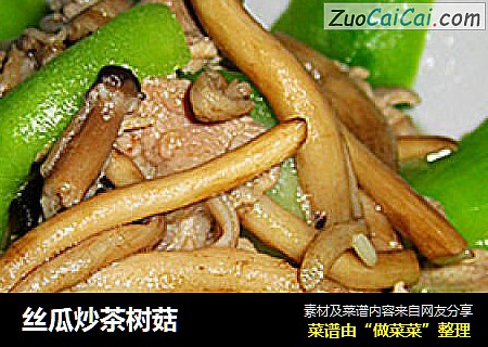 丝瓜炒茶树菇