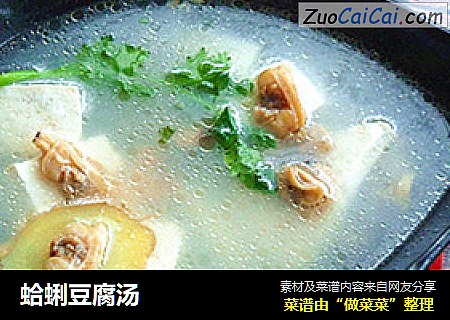 蛤蜊豆腐湯封面圖